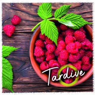 Framboise Tardive copie